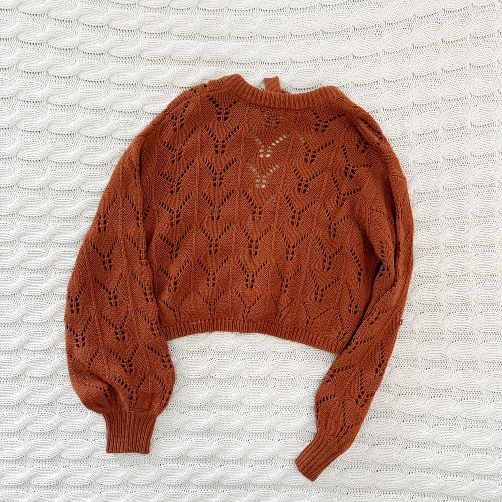 Le Rumi Rust Knit Sweater - Picture 3 of 4